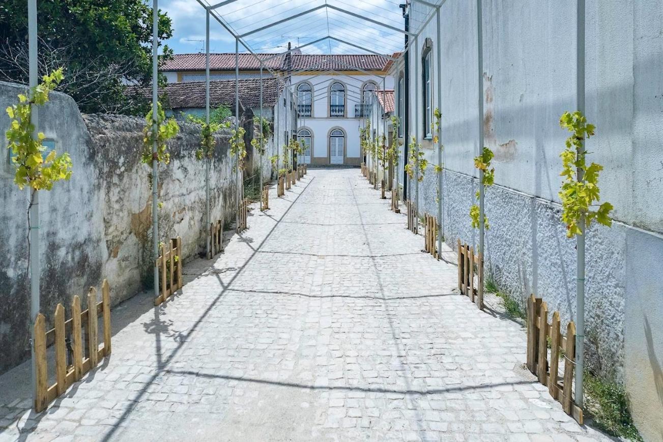 Casa Sao Sebastiao Villa Tomar Eksteriør billede